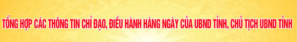 Tổng hợp các thông tin chỉ đạo điều hành của UBND tỉnh.jpg