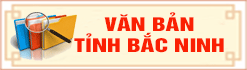 Văn bản tỉnh BN.gif