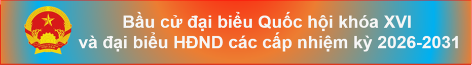 bầu cử 1