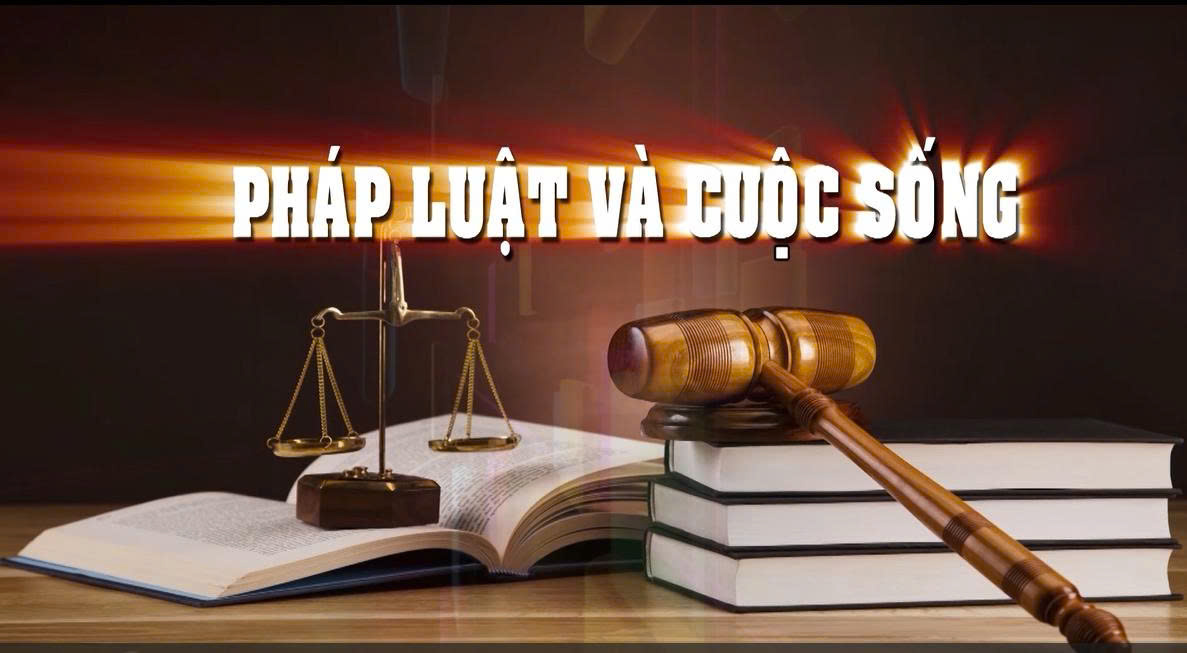 Nhìn lại 01 năm công tác tư pháp