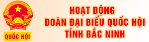 Đoàn ĐBQH tỉnh