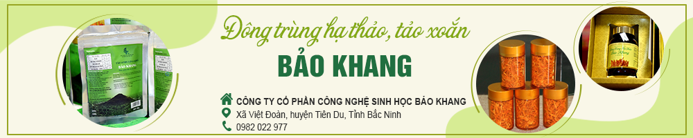 Dong-trung-ha-thao.png
